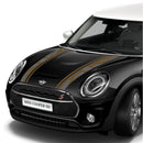 ナイトジャックタイプ ボンネットストライプ［F54用］