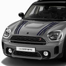 ナイトジャックタイプ　ボンネットストライプ［F60用］