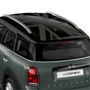 ルーフステッカー　NIGHT JACK［F60用］