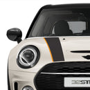 RAY Pac.タイプ　ボンネットストライプ［F54クラブマン用］