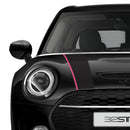 RAY Pac.タイプ　ボンネットストライプ［F54クラブマン用］